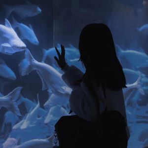 王者荣耀涩涩18❌网站
